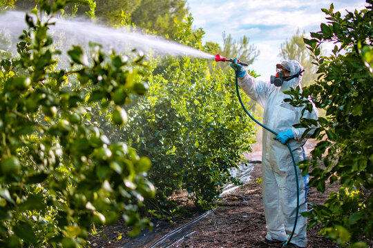 Ecological unit cleaning